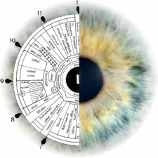 iridology